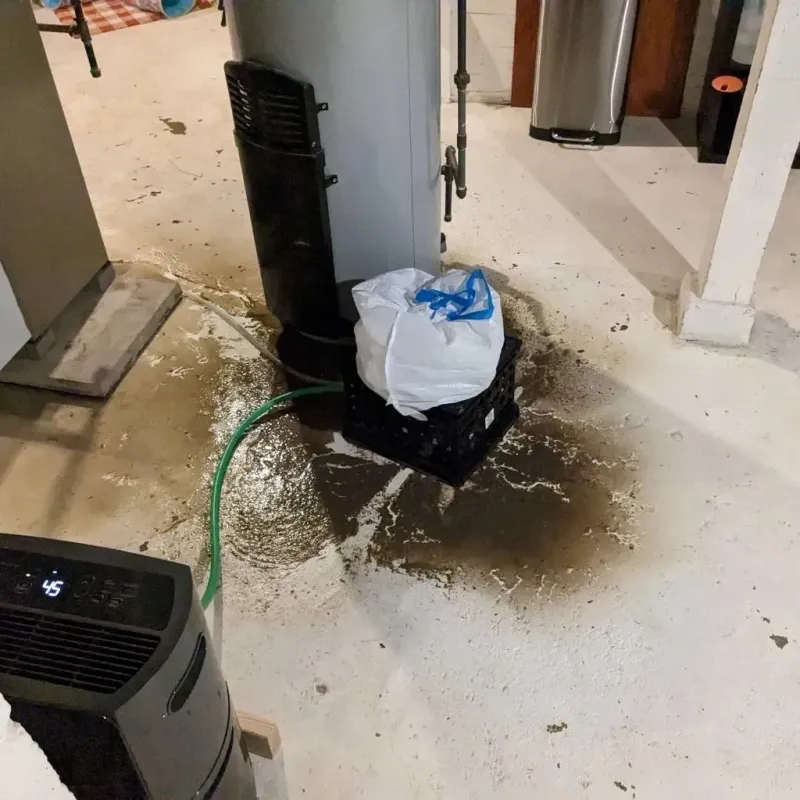 Sewage Backup Cleanup Service in Salem, CT
